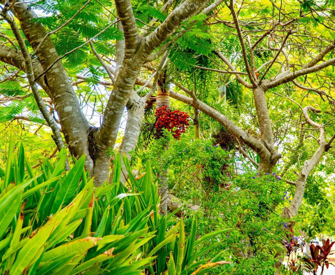 Sunbird Gardens Villa Agnes Water Buitenkant foto